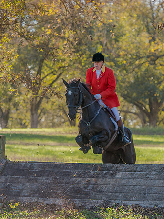 Belle Meade