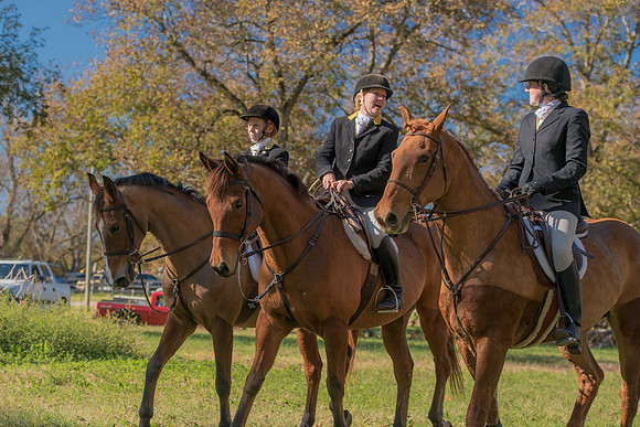 Belle Meade