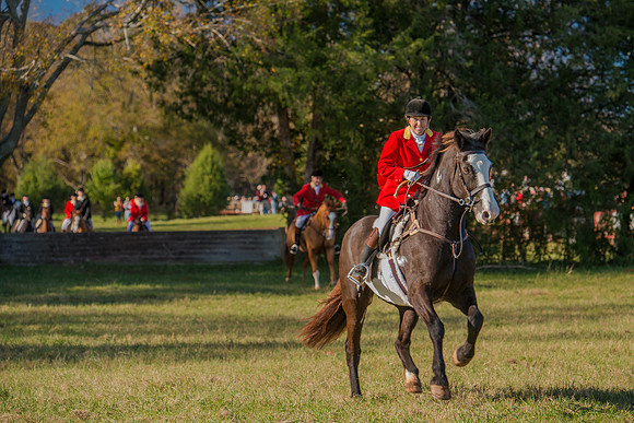 Belle Meade