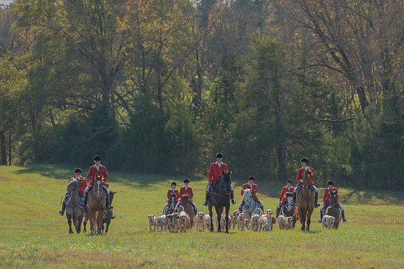 Belle Meade