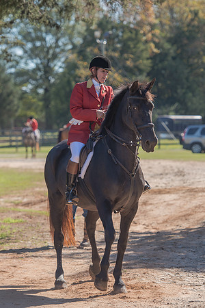 Belle Meade