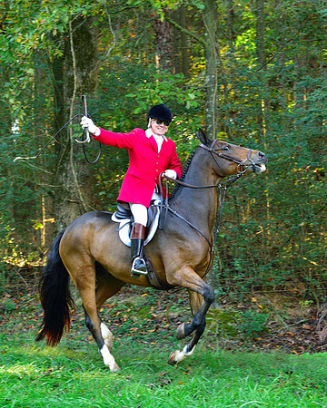 Shakerag Opening Hunt 2014