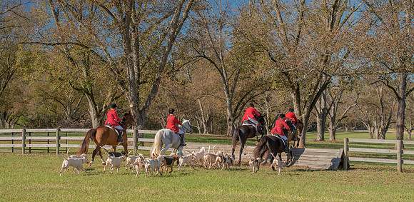 Belle Meade