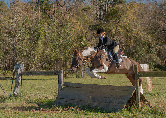 Belle Meade