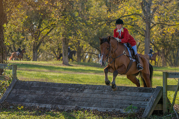 Belle Meade