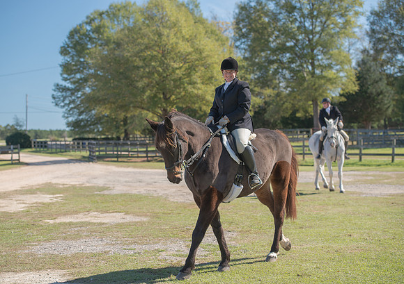Belle Meade