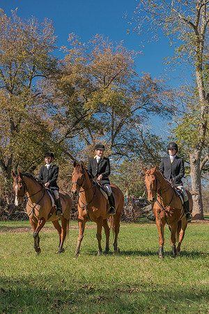 Belle Meade