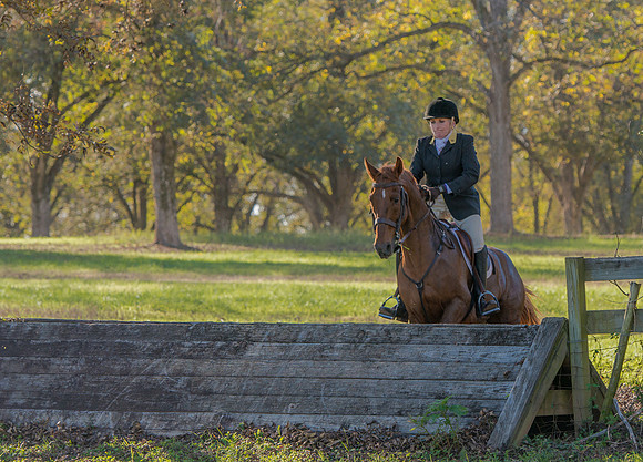 Belle Meade