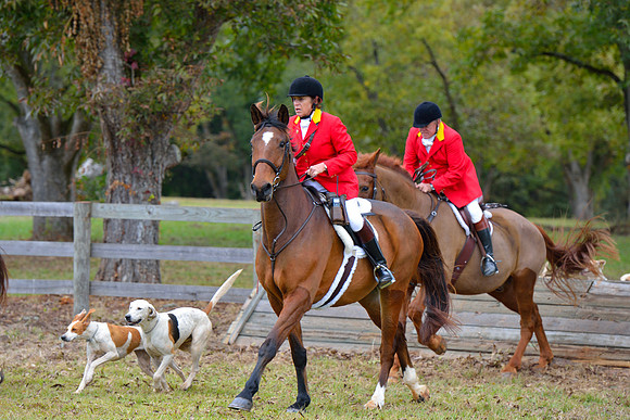 Belle Meade Opening Hunt 2014