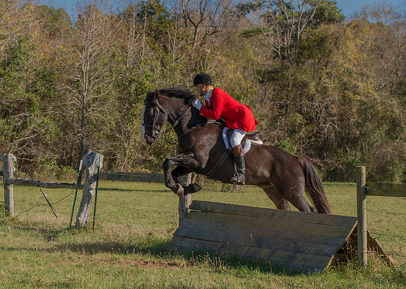 Belle Meade