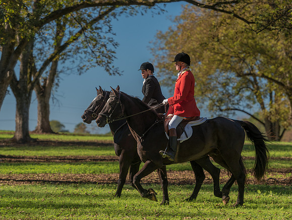 Belle Meade