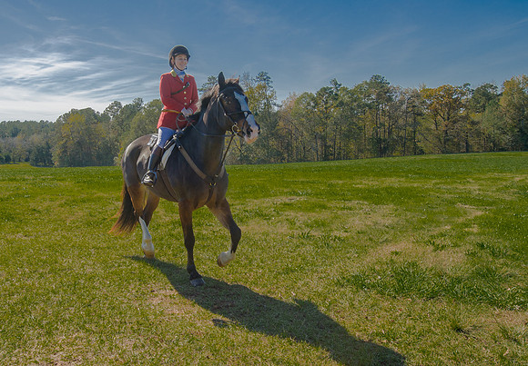 Belle Meade