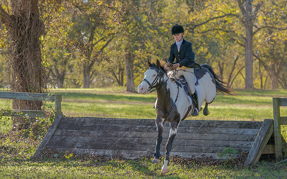 Belle Meade