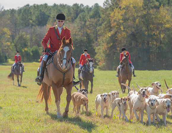Belle Meade