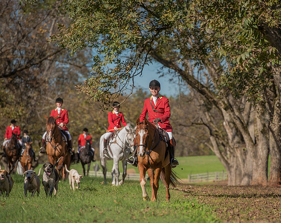 Belle Meade