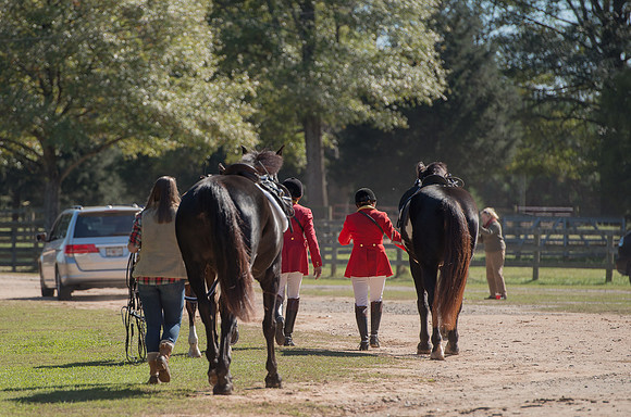 Belle Meade