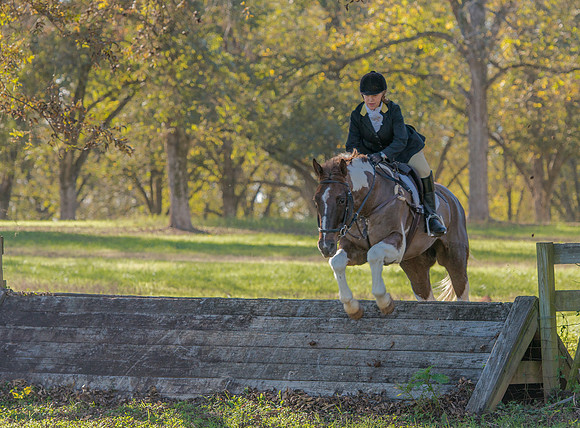 Belle Meade