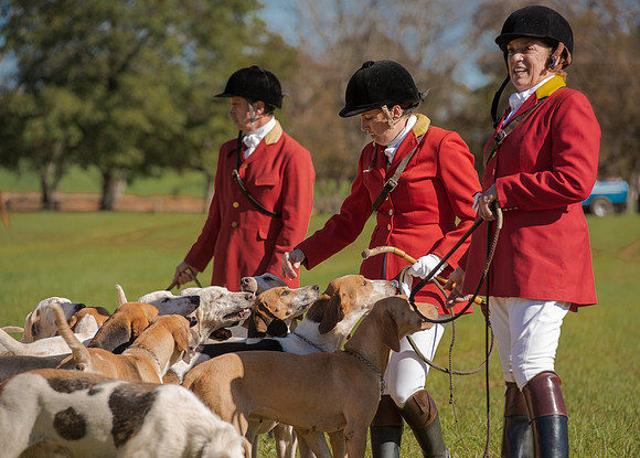 Belle Meade