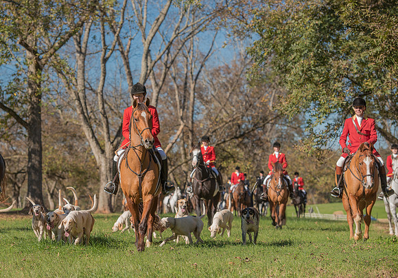 Belle Meade