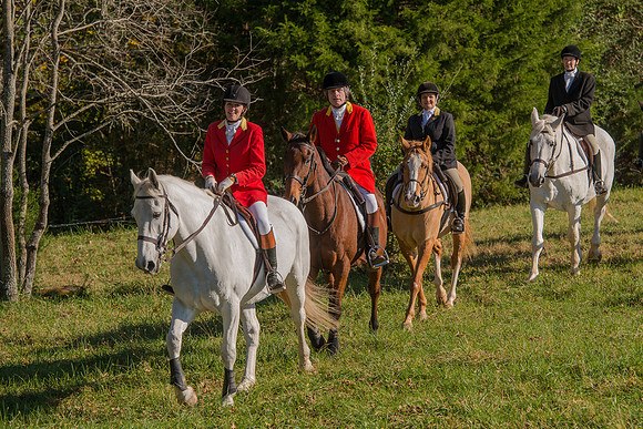 Belle Meade