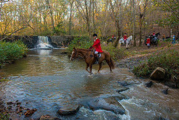 Belle Meade