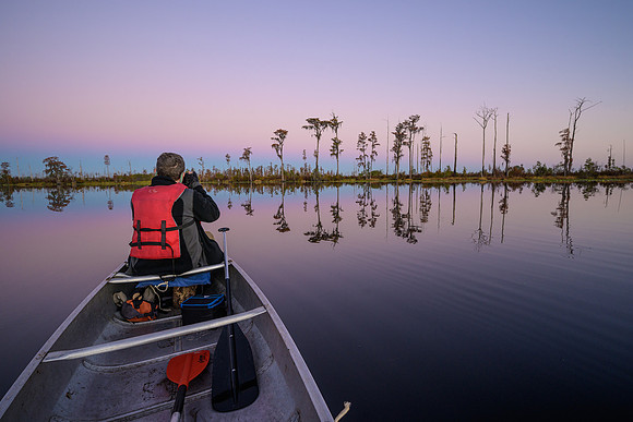Okefenokee_11-17-2021_360187