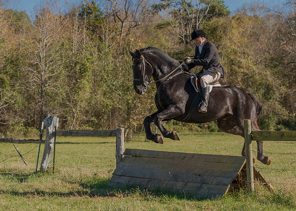 Belle Meade