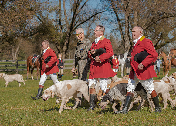 Belle Meade