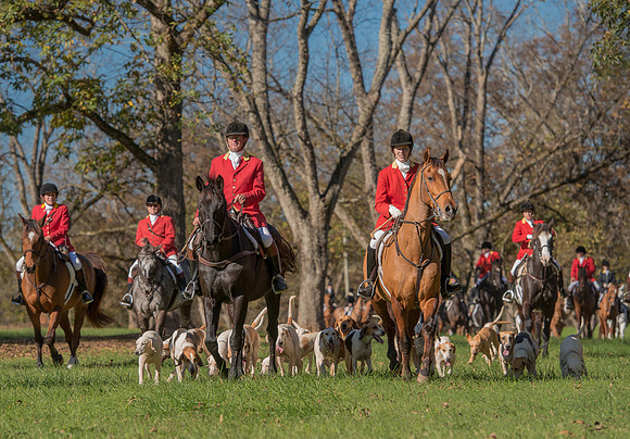 Belle Meade