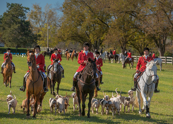 Belle Meade