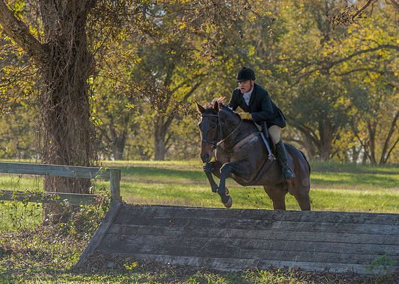 Belle Meade