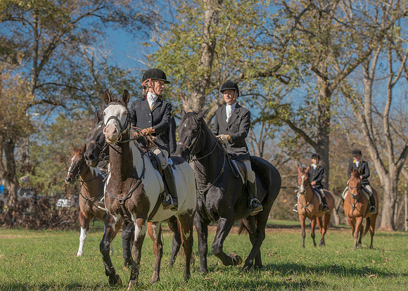 Belle Meade