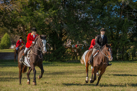 Belle Meade