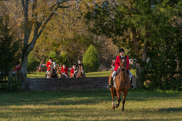 Belle Meade
