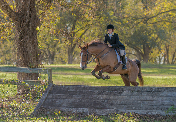 Belle Meade