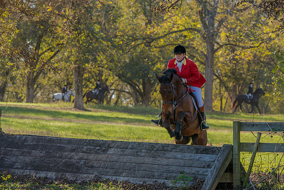 Belle Meade