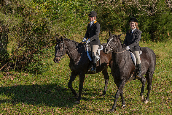 Belle Meade