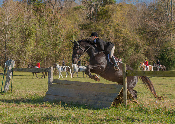 Belle Meade
