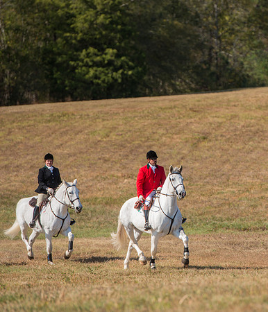 Belle Meade_228011_11-5-2016