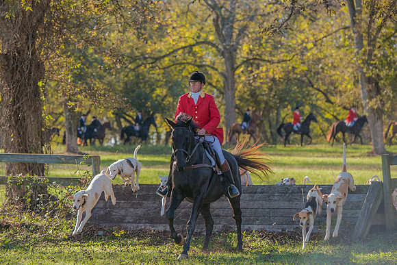 Belle Meade