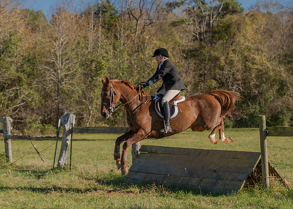 Belle Meade