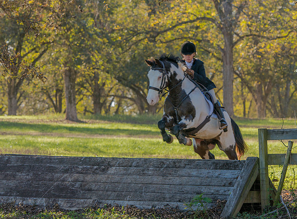 Belle Meade