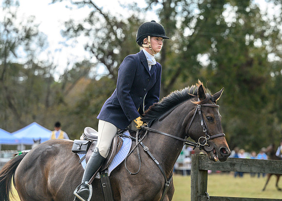 Belle Meade_20241102_421976