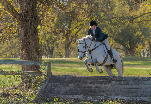 Belle Meade