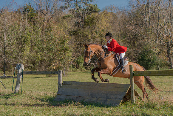 Belle Meade