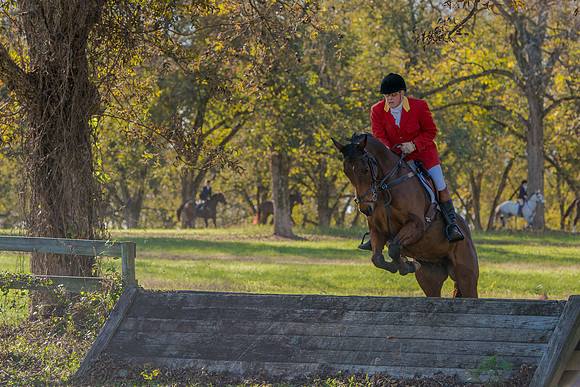 Belle Meade