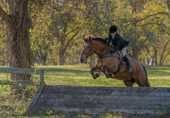 Belle Meade