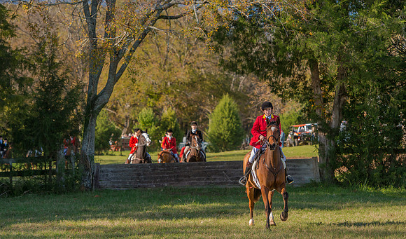 Belle Meade