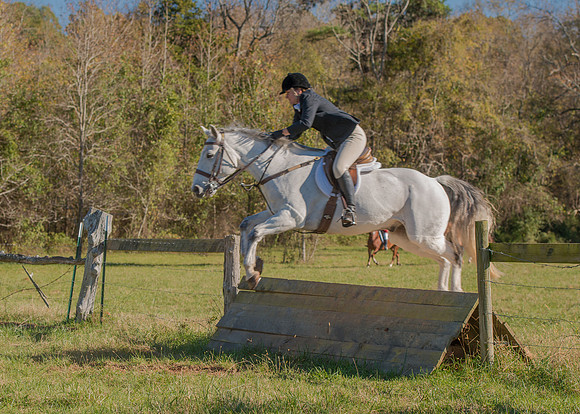 Belle Meade