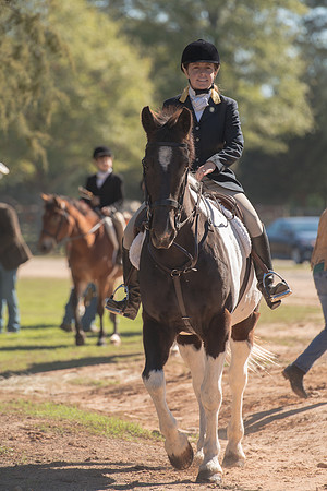 Belle Meade
